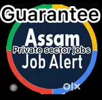 We are providing job with guarantee