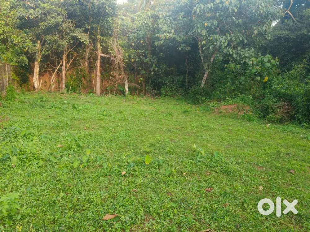 40 cents land sale naguri capitanio mangalore