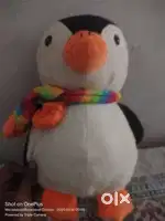 He is in good condition