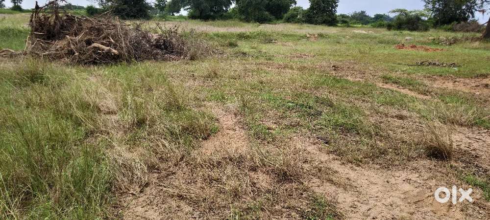 15Acer agriculture land pure red soil in KV palli mandalam