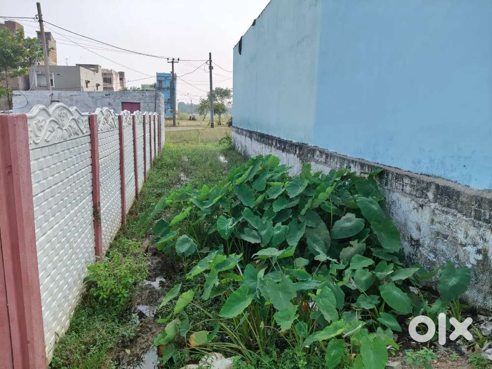 Best valueable residential plot at chaitnya Bihar first line