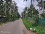 8 Cent Plot with Double-Storey House for Sale – Kenichira, Wayanad
