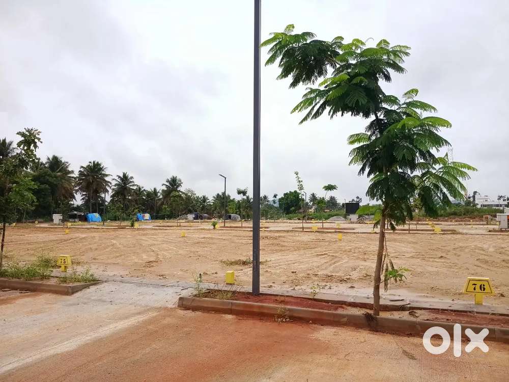 Rajeshwari infor project