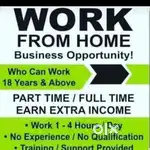 Zero investment work from home