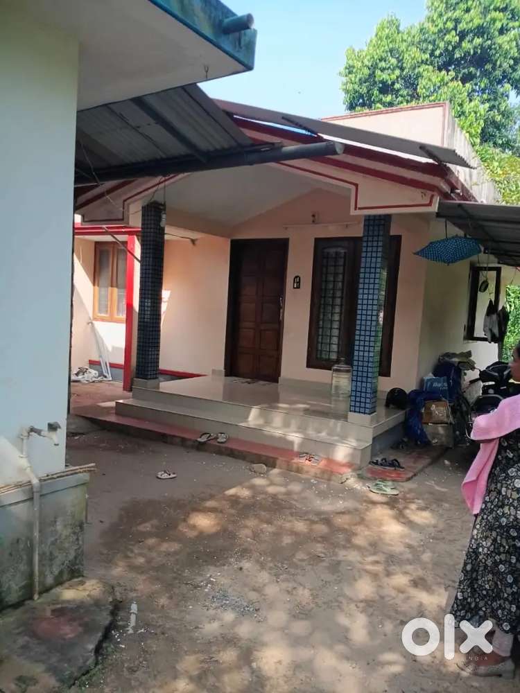 3bhk independeat house for rent at koonammavu