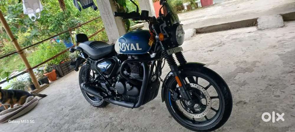 Hunter in showroom condition. Kept in shade . In need of money