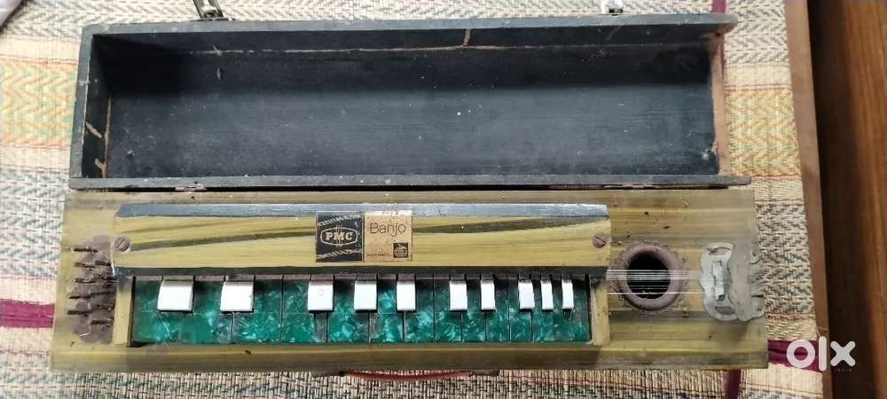 Bulbul Tarang for sale(10 String 24 keys musical instrument)