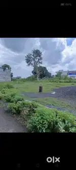 Janki nagar station kirshi upaj mandi Narsinghpur