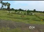 29 Lakhs, Bhogapuram, 200 Sqyards Approval Layout