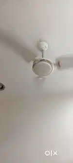 Ceiling Fan for sale