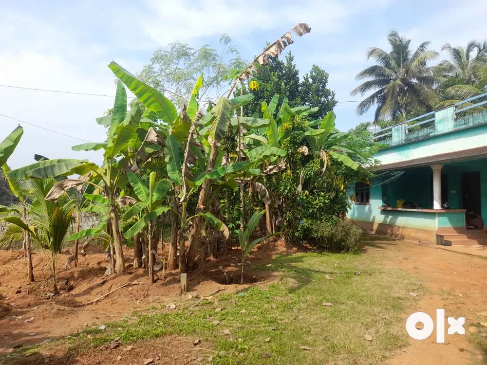 12 cent land, borewell ,road available village /farm atmosphire