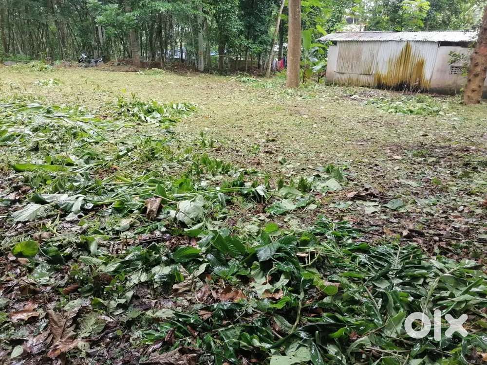 Plot for sale