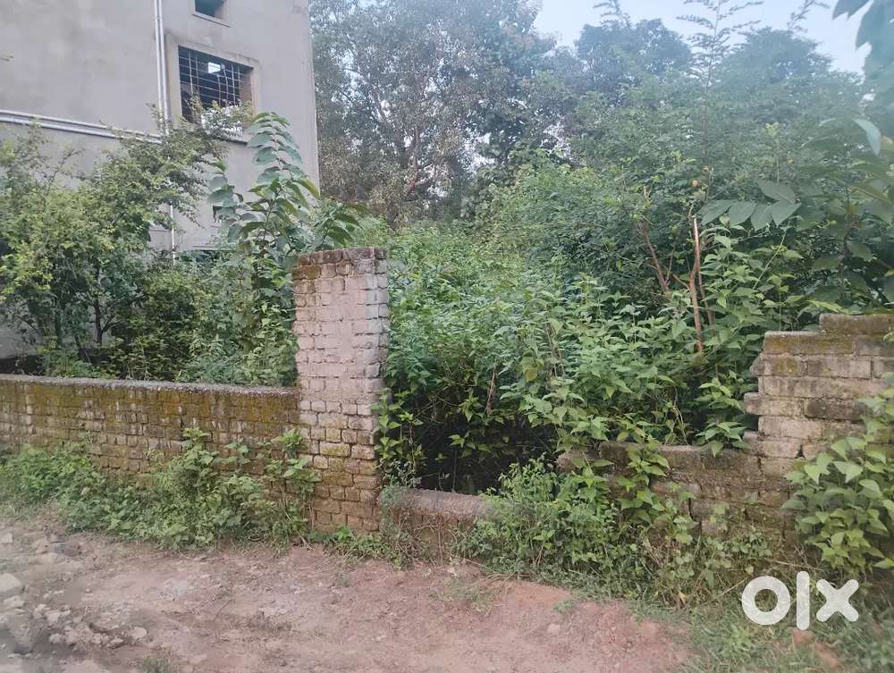 near Vijay Garden
