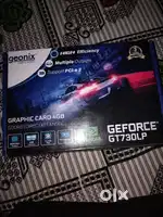 Geonix  GeforceGt730LP graphic card