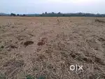 Suitable for dolomite mining and farming