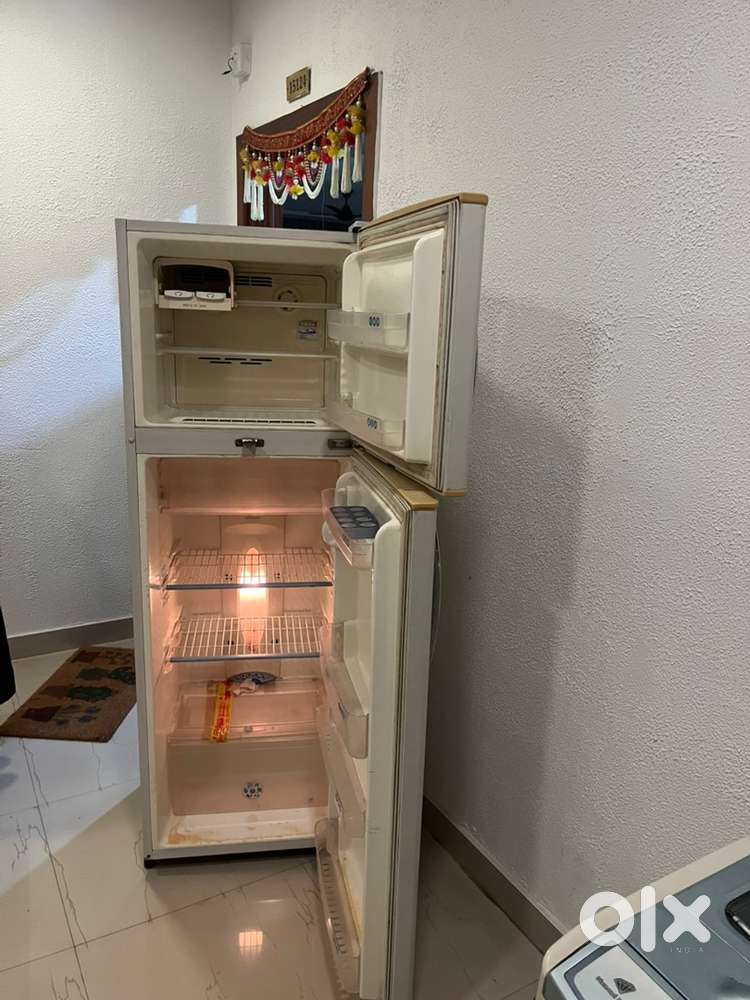 LG 310 L double door fridge