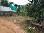 Muvattupuzha Vazhakulam plots for sale