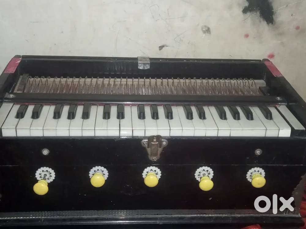 Harmonium  best