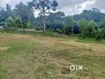 Plot for urgent sale