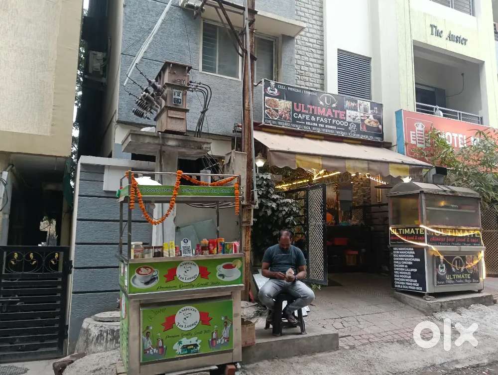 Tea master need immediately