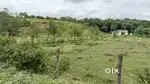 Alandi vadgaon road touch plot  godown,industry ,company , parking