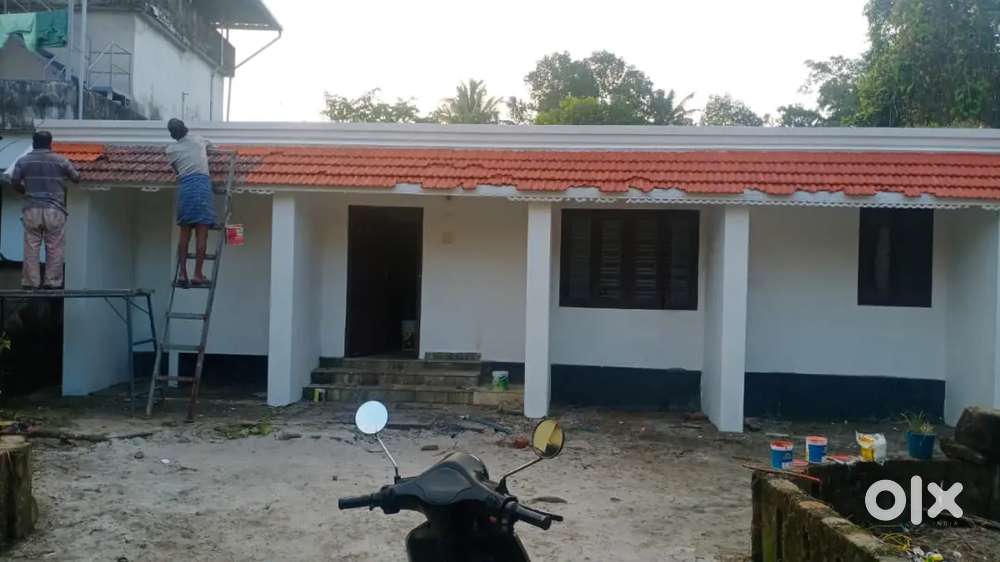 plot with  house for sale 12 cent ( rent also available )