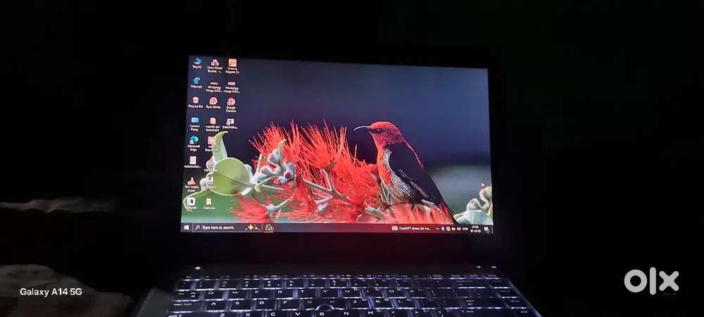 Hp laptop 14000