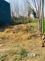 Residential plot 300 meter from Nh58