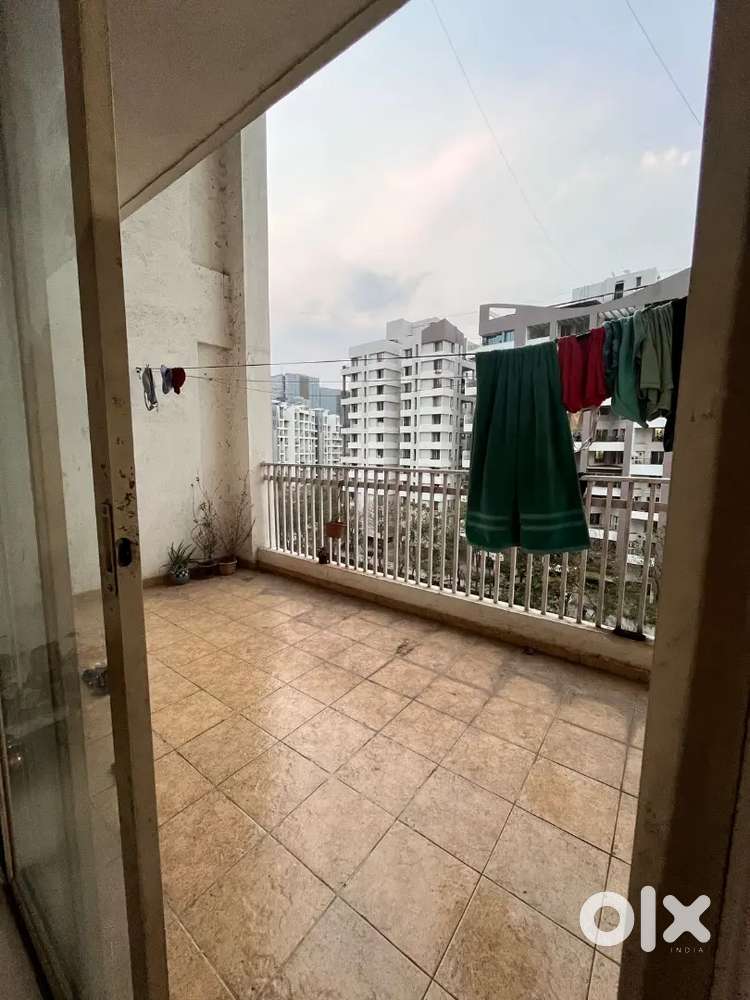 Female flatmates required