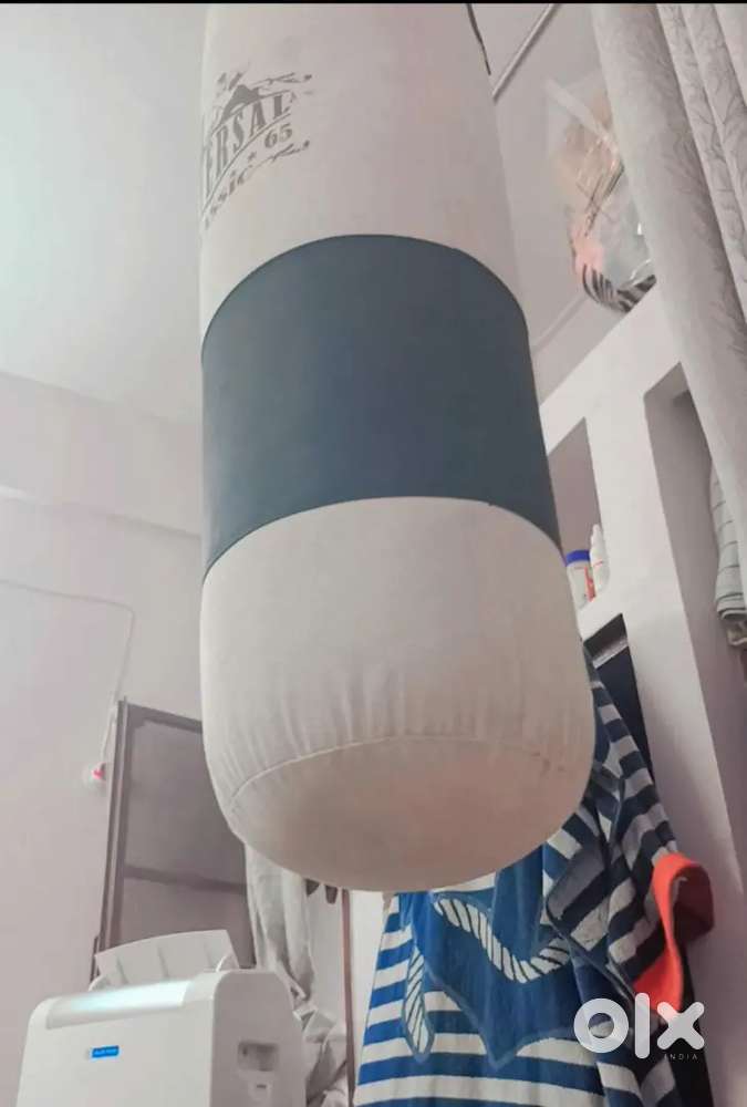 Punching Bag and Pull Up Bar