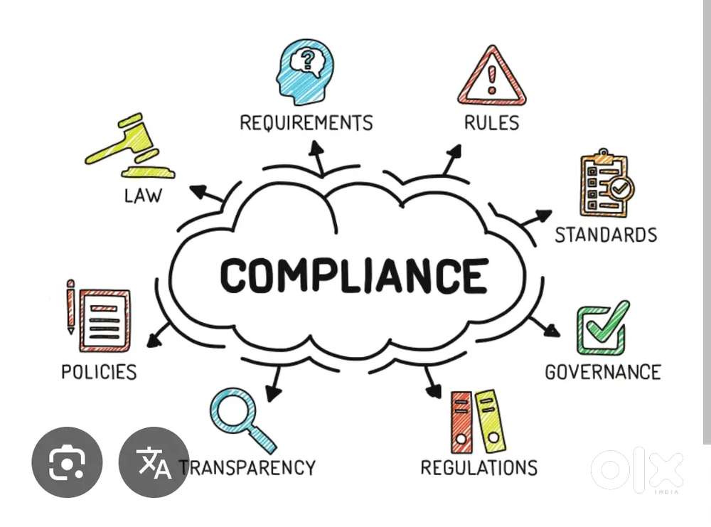 Compliance Executive