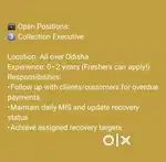 Collection executive