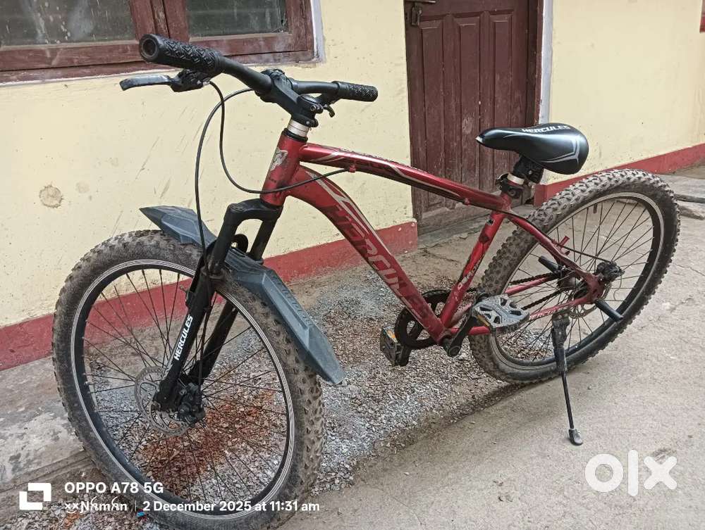 My bicycle is 1 year old