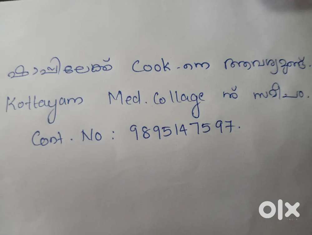 Wanted cook