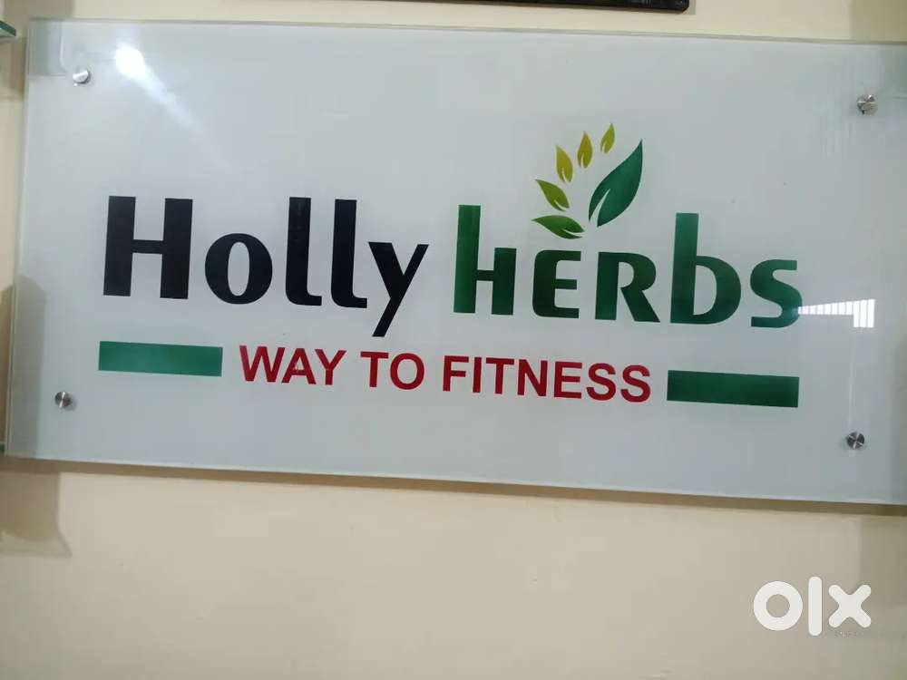 Holly herbs
