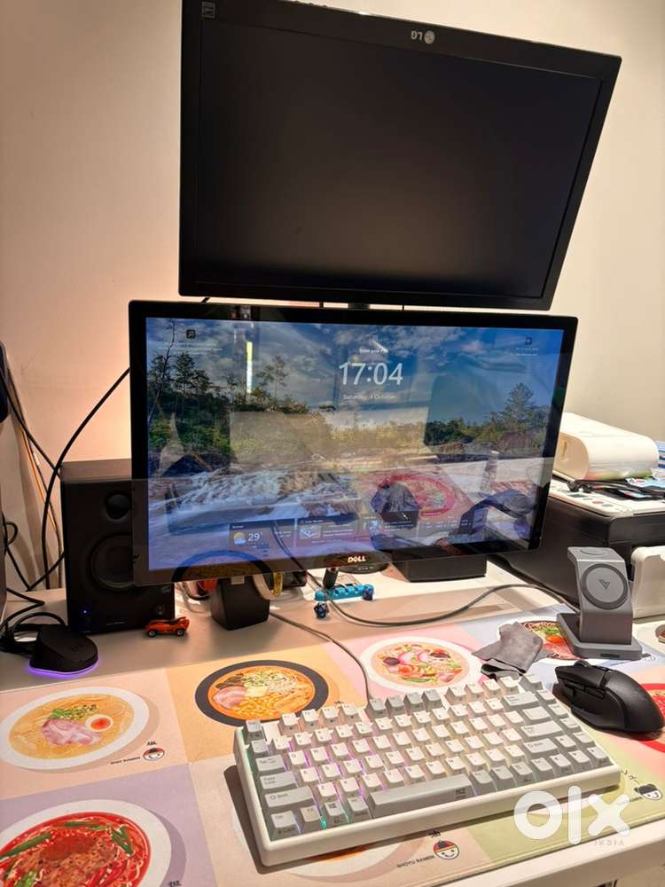 24 inch Dell monitor