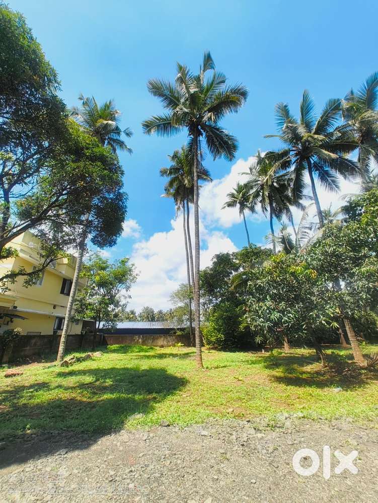 Residential plot for sale, Thrissur, Mannuthy