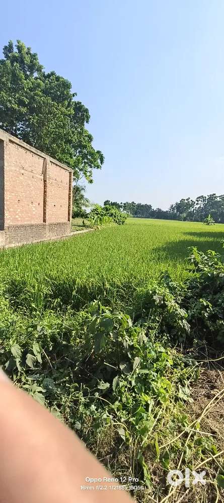 Urgent sell 6 bhk total,5.50 lack par bhk