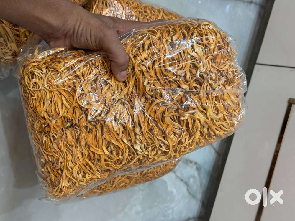Cordyceps Mushroom ( Keeda Jadi)