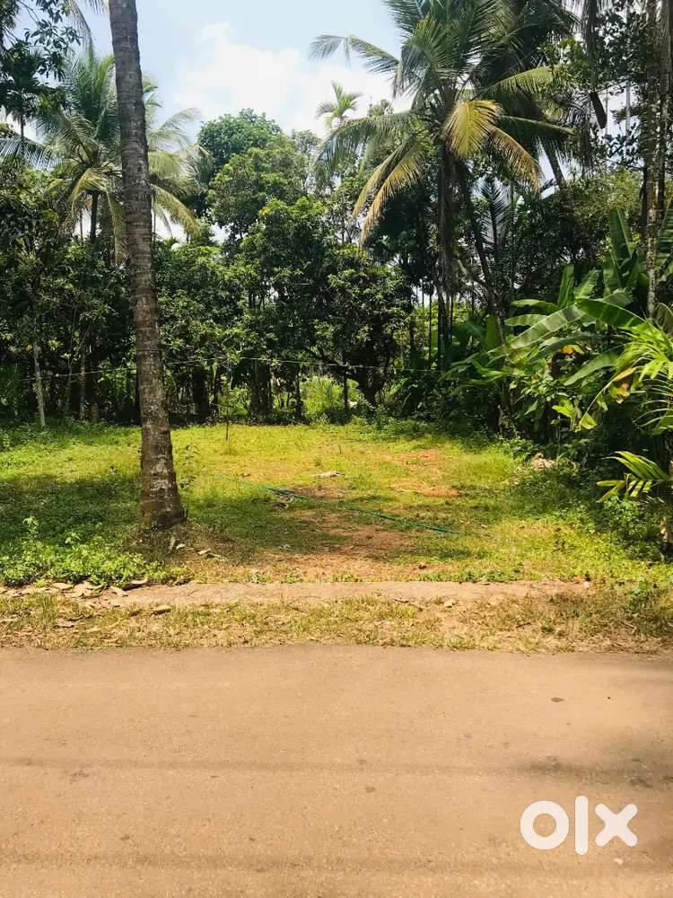 Plot for sale (Karumala village office road)220000/cent(adjustable)