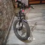 Fat tyre mountain bicycle for sale