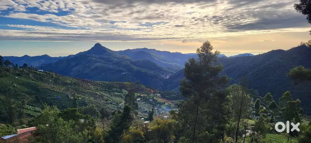 Luxury villa for rent