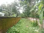 Near City central school Uliyakovil 17 cent plot for sale..