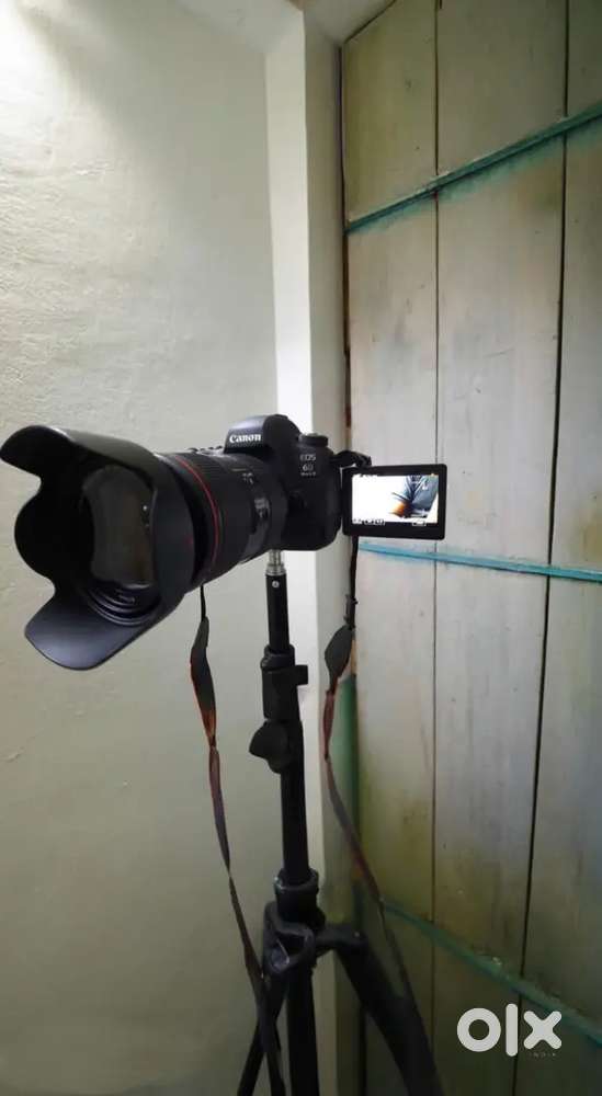 Canon 6D Mark 2 Model