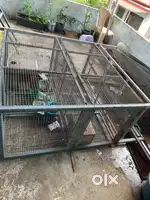 Bird cage with breeding box