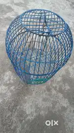 Cage in every type of birds.