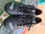 Puma Futsal Shoes