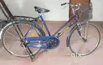 Lady bar cycle