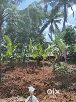 PLOT FOR SALE