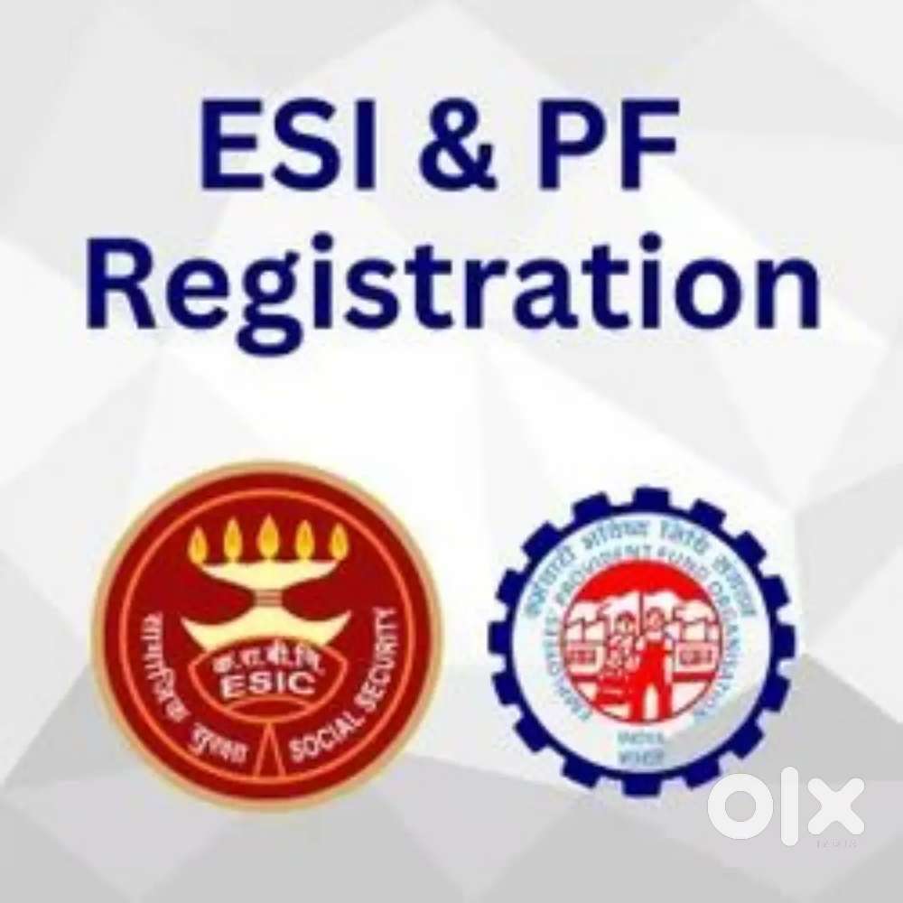 PF And ESIC Services